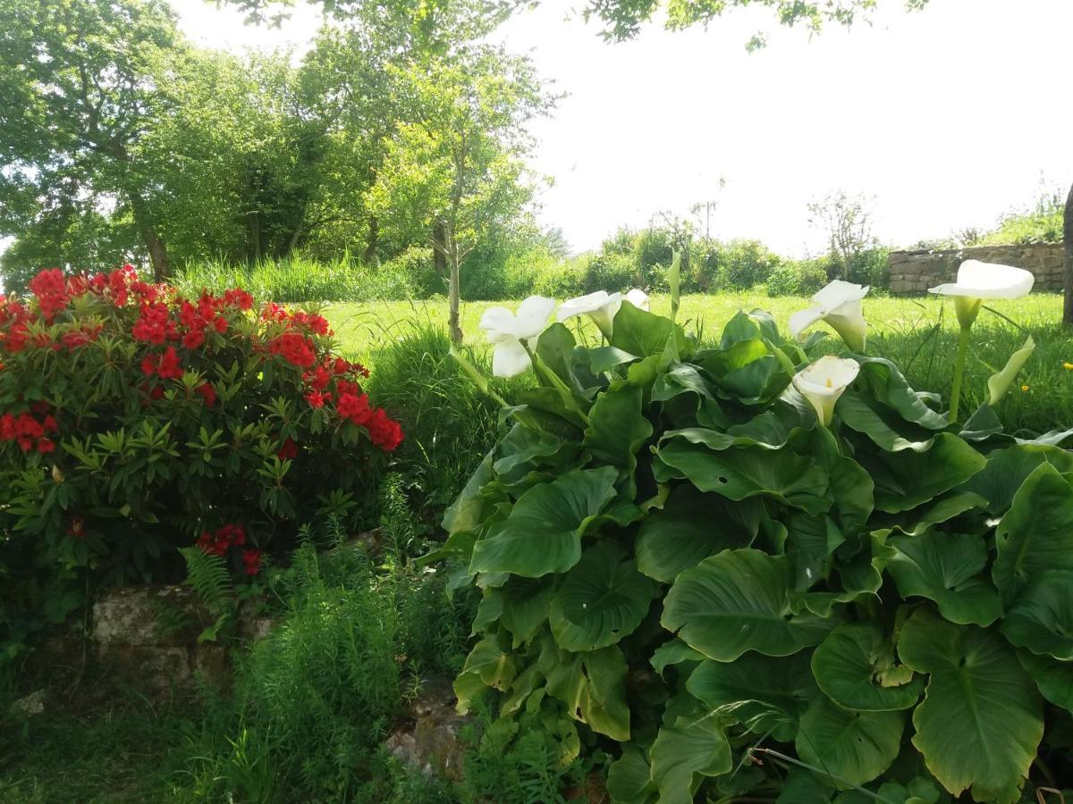Gite De Rosvern Commana Exterior photo